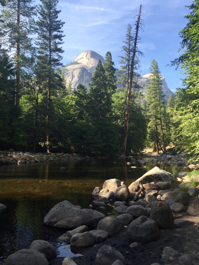 Yosemite Valley - National Parks - Yosemite National Park - Yosemite - Jude Moonlight - Tenaya Creek - Quinby & Co.