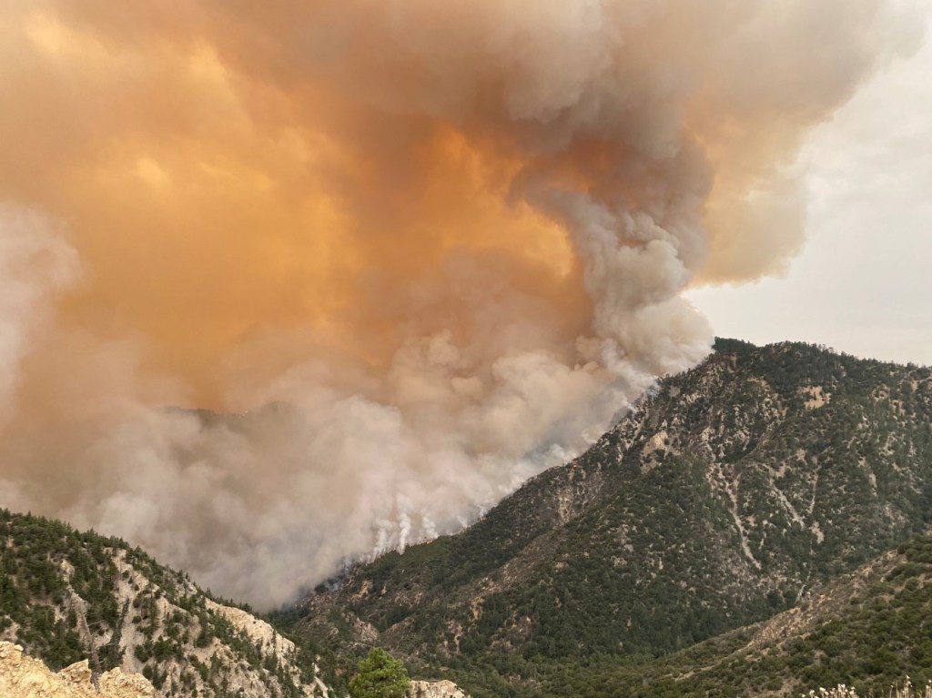 Bobcat Fire - Los Angeles County- Los Angeles - Angeles National Forest - Wildfire