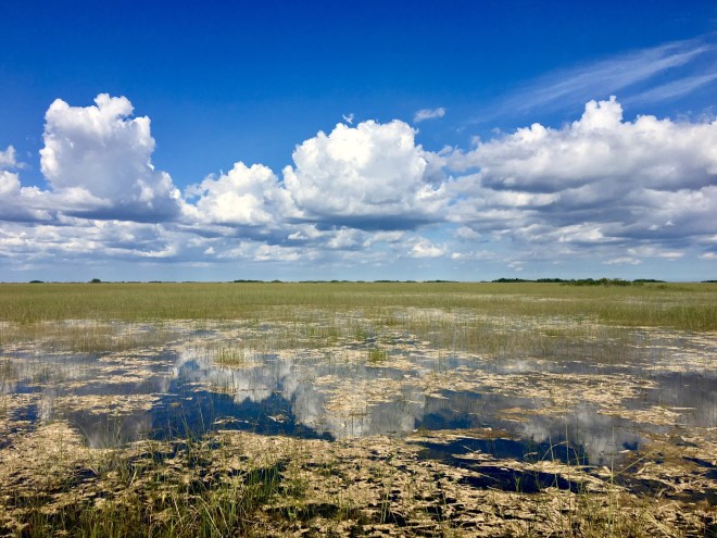 Shark Valley - Everglades National Park - Everglades - National Park - Florida - Quinby & Co.