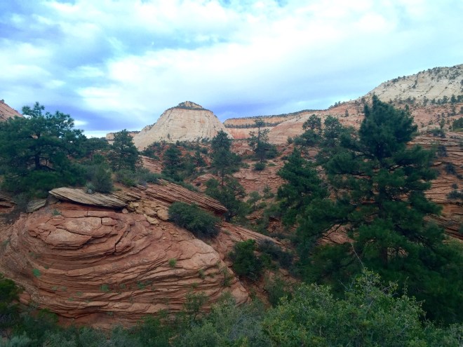 Mount Carmel Highway - Mount Carmel - Mt. Carmel Highway - Mt. Carmel - Zion National Park - Zion - National Parks - Utah - Quinby & Co.
